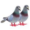 BESPORTBLE 8-Piece Realistic Artificial Pigeon Figurines for Gardens and Miniature Scenes view 1