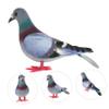 BESPORTBLE 8-Piece Realistic Artificial Pigeon Figurines for Gardens and Miniature Scenes view 2