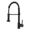 Spring Kitchen Faucet, Dual-Mode Hot and Cold Water Sink Faucet, Black view 1
