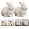 VANZACK 10-Piece Ceramic Rabbit Decorations, Cute White Bunny Figures for Garden Bonsai, Home, Easter and Spring Decor view 3