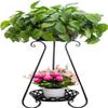 Indoor Plant Stand and Flower Pot Rack view 1