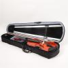 Plastic and Basswood Violin for Beginners view 2