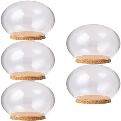 IbErsa Transparent Glass Dome with Wooden Base, 10 cm, 5-Piece Set