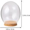 IbErsa Transparent Glass Dome with Wooden Base, 10 cm, 5-Piece Set view 2