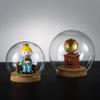 IbErsa Transparent Glass Dome with Wooden Base, 10 cm, 5-Piece Set view 3