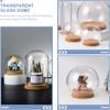 IbErsa Transparent Glass Dome with Wooden Base, 10 cm, 5-Piece Set view 4