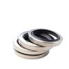 RhineCart Basics 2-Piece Double-Lip PTFE Oil Seal 35 × 55 × 8 mm, Stainless Steel, for High-Pressure Air Compressors view 4