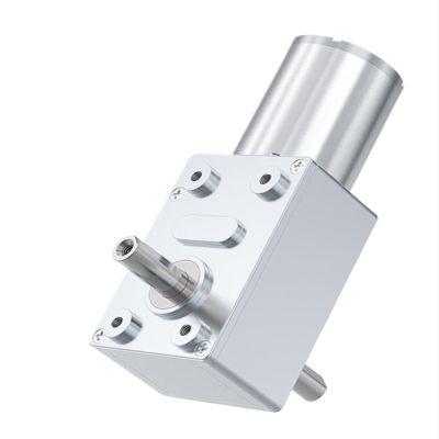 DAVBIR Dual-Shaft Turbo Worm Gear Motor, High Torque, JGY-370, 6 V/12 V/24 V DC, Reversible Self-Locking, Dual Output Shaft (Size: 4