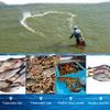 ETomey Floating Monofilament Fishing Net, 30 m view 4