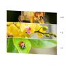 43 mm +2/+4/+10 Diopter Close-Up Macro Filter Set for Canon EOS M6/M6 Mark II with EF-M 32 mm f/1.4 STM Lens view 2
