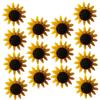 NUOBESTY 80-Piece Sunflower Push Pins, Colorful Resin Thumbtacks for Office and Home view 3
