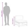 vidaXL Armless Garden Sofa with Cushions, Impregnated Pine Wood view 4
