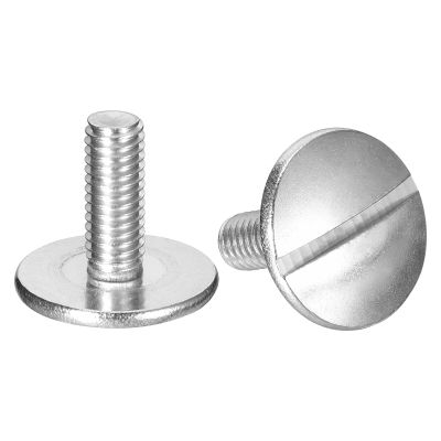 QUARKZMAN M6 x 16 mm Extra-Large Flat-Head Slotted Screws, 2-Pack, 304 Stainless Steel