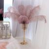 10-Piece Lot White Ostrich Feathers for Weddings, Parties, Crafts, and Table Decorations, 40–45 cm view 2