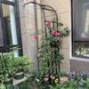 Garden Trellis, Black Metal, Easy to Assemble, for Climbing Roses and Vines, Half-Arch Garden Decor view 3