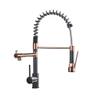 Chrome Pull-Down Spring Kitchen Faucet, Hot and Cold, Single Handle, Dual Spout view 1