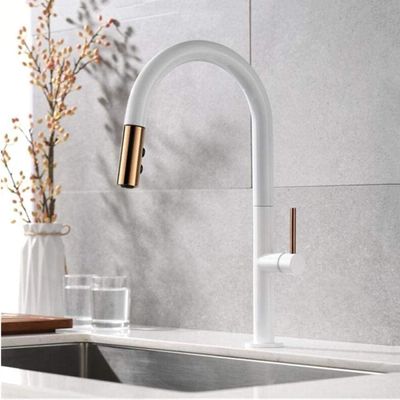 Pull-Out Kitchen Faucet, Rose Gold/Black, 360° Swivel