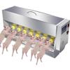 Piglet Milk Feeder, Feeding Bottles for Multiple Piglets, for Farms and Ranches, 14-bit view 1