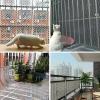 YiHYSj Plastic Lawn Protection Mesh, Mole Barrier, UV-Resistant, Weather-Resistant, Sold by the Meter view 4