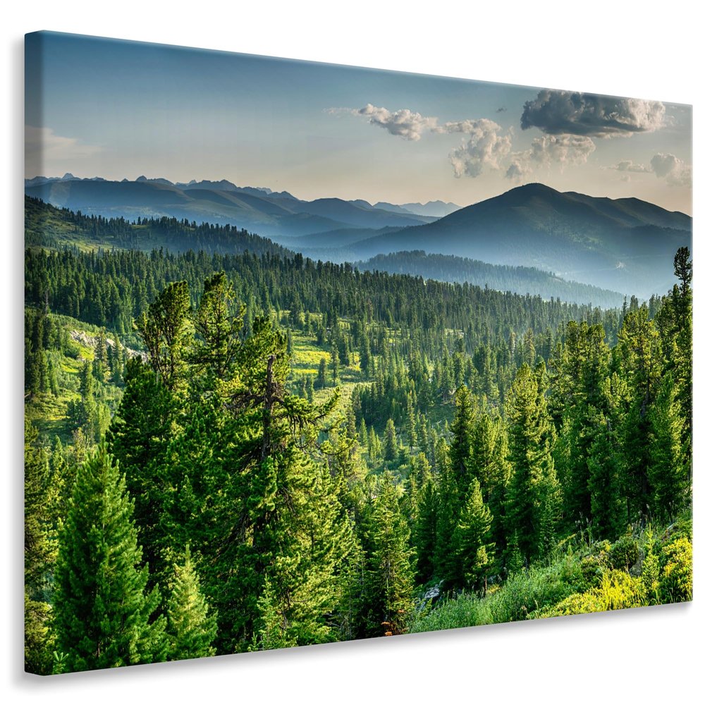 Muralo Abstract Wall Art, Ready to Hang, Art Print - 70 x 50 cm