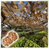 KOOEIN Camouflage Netting for Hunting, Military Camouflage Net, Garden Pergola Shade & Decor, Lightweight and Durable, Outdoor Sunshade, 82 Sizes, Yellow, 1 x 10 m (3.3 x 32.8 ft) view 1