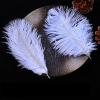 SYSUII 10 Natural Ostrich Feathers, 15–20 cm, Navy Blue, for DIY Crafts and Decoration view 4