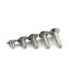 Single-Thread Multi-Purpose Wood Screws, 10 Stainless Steel Phillips Flat Wafer-Head Screws, M1.4–M8 view 4