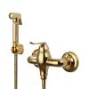 Titanium Gold Handheld Bidet Sprayer for Toilets, Hot and Cold Water, Type A view 1