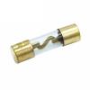 WFNKJTGO 100-Piece 10 x 38 mm Gold-Plated Glass AGU Fuse Pack for Car Audio Amplifiers, 15 A, 20 A, 25 A, 30 A, 40 A, 50 A, 60 A, 70 A, 80 A, 100 A (70 A) view 1