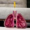 Artistic Lung-Shaped Resin Ashtray view 3
