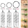 Garden Obelisk Trellis, 28 x 180 cm, Black view 3