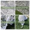 Camouflage Sun Shade Net, White, 3 x 10 m (9.8 x 32.8 ft) view 2