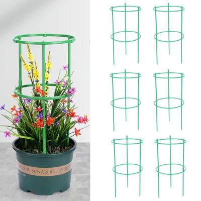 Adjustable Circular Garden Plant Support, Tomato Cage and Trellis, 6-Pack