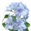 Murago 3-Piece Set of Artificial Blue Azaleas in Pots view 2