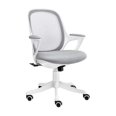 sjdoPulse Ergonomic Mesh Home Office Chair with Lumbar Support
