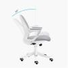 sjdoPulse Ergonomic Mesh Home Office Chair with Lumbar Support view 2