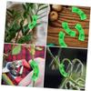 BESPORTBLE 40-Piece Plant Bending Clips for Gardening, Reusable Plant Support Clips for Fruit Trees and Herbs view 3