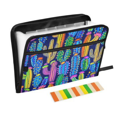 Magic Color Cactus Accordion Folder, 13 Pockets, A4