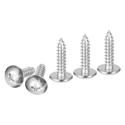 DTGN #10 x 3/4 in. Self-Tapping Screws, 100-Pack, 304 Stainless Steel Phillips Pan Head, Silver