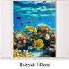 GRAZDesign Underwater Fish Bathroom Tile Stickers, Self-Adhesive Tile Decals - 6 x 8 in / 30 pcs view 3