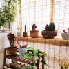 Bamboo Roller Blind for Windows and Doors, Natural, 100 x 190 cm view 2
