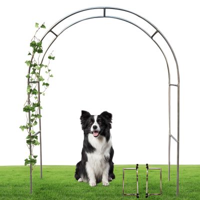 Stainless Steel Garden Arch for Climbing Plants, 3 × 2.4 m (9.8 × 7.9 ft)