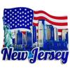New Jersey USA Refrigerator Magnet, Travel Souvenir, 3D Sticker, Craft Collection view 1