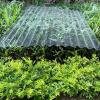 FRP Corrugated Roofing Sheets, Transparent, 2 mm, 12-Pack view 1