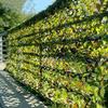 Becool Fish 1.5 x 10 m Army Camouflage Net, 15 x 20 m Jungle Camouflage Net, Shades, Ideal for Sun Protection, Camping, Shooting and Hunting (Color: Jungle, Size: 7 x 9 m) view 3