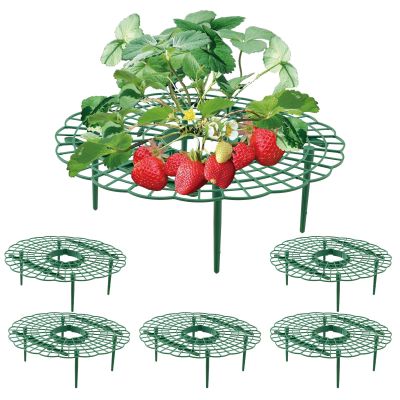 Wuyue Hua Strawberry Plant Supports, 5-Piece Set