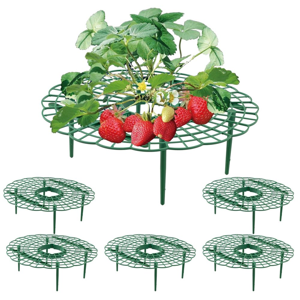 Wuyue Hua Strawberry Plant Supports, 5-Piece Set