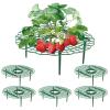 Wuyue Hua Strawberry Plant Supports, 5-Piece Set view 1