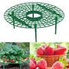 Wuyue Hua Strawberry Plant Supports, 5-Piece Set view 3