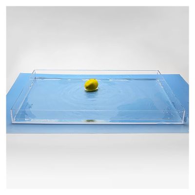 Clear Acrylic Display Case/Shallow Water Tank, 60 x 25 x 10 cm, 3 mm